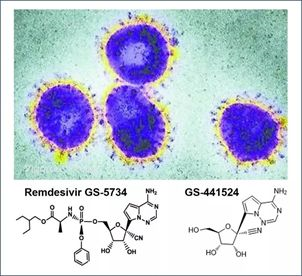 基于细胞因子风暴和免疫炎症反映综合征，好多免疫有关靶点也能够列为冠状病毒的靶点。
