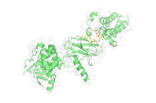 PROTAC技术，马兴泉