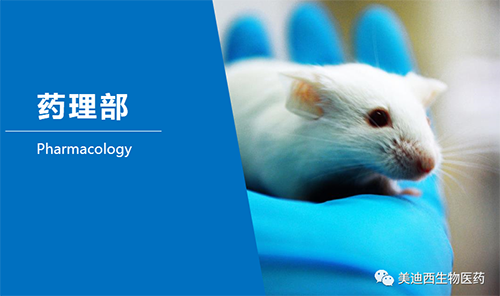 PP电子游戏药理部开发了肺癌、结肠癌、胃癌等12种PDX模型。