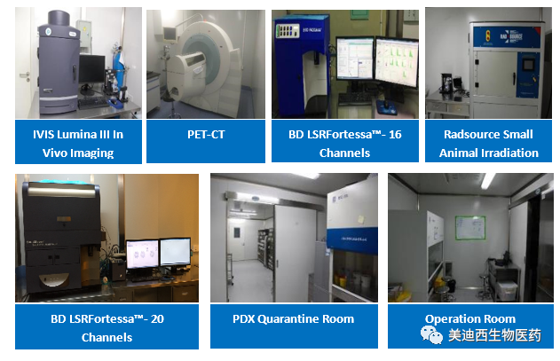 PP电子游戏药理部占有IVIS Lumina III, PET-CT, BD LSRFortessa-16, Flow Cytometry等仪器，提供切合申报，支持临床试验的药效评价服务。