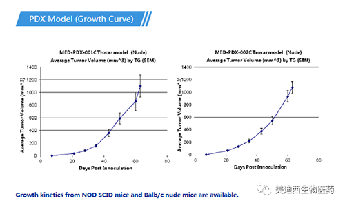 PP电子游戏PDX药效模型