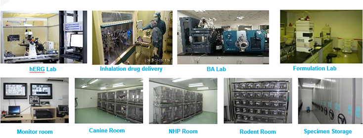 PP电子游戏毒理钻研部设备