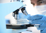 PP电子游戏代谢产品鉴定(MetlD)服务平台