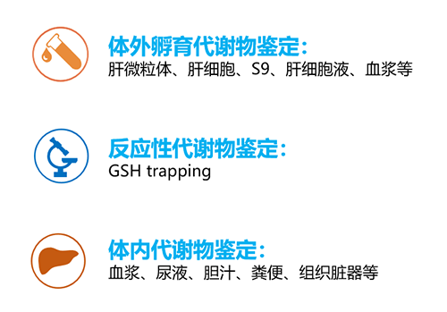 支持新药发现及申报的MetID钻研