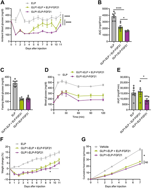 GLP1-ELP-FGF21双激昂剂大局在医治上优于GLP-1 / FGF21单激昂剂混合物 PP电子游戏