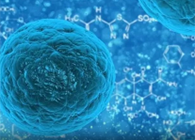 攻克三阴性乳腺癌，蜜蜂毒液竟是关键？