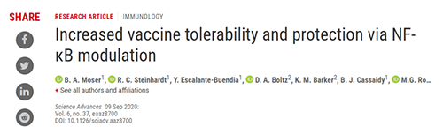 钻研人员将部门选择性核因子κB（NF-kB）抑造剂与几种目前的佐剂结合使用
