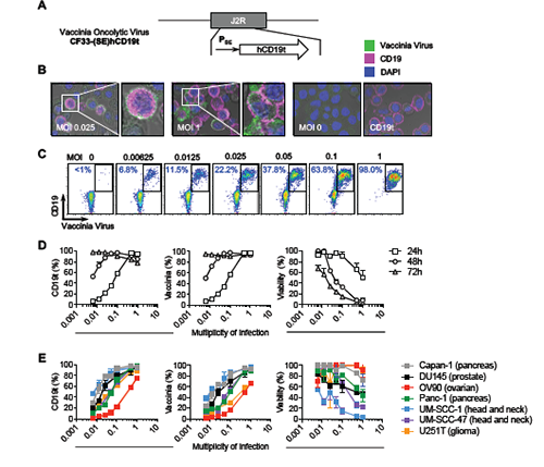 首页| PP电子游戏中国区官方网站