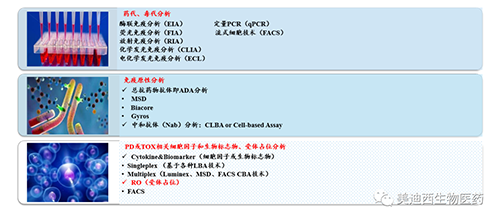 PP电子游戏生物技术药物分析部服务内容