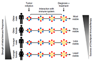 到底为什么ICB疗法在年轻女性肿瘤患者体内收效甚微？