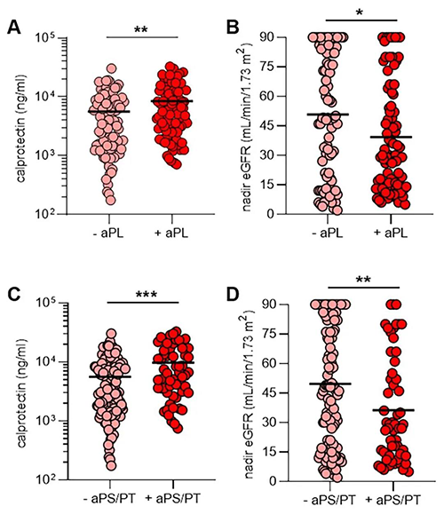 aPL抗体、NET开释和肾职能