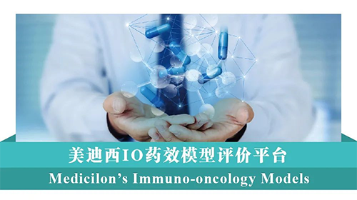 PP电子游戏IO药效模型评价平台