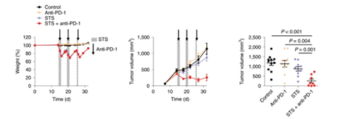 与对照组及仅使用PD-1疗法的模型幼鼠对比，选取短期饥饿共同PD-1疗法的393P细胞同源移植肿瘤幼鼠体内的肿瘤体积有了显著的收缩。