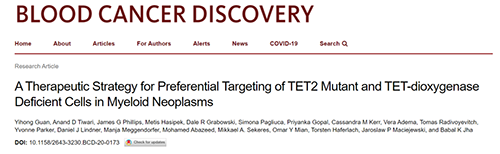 钻研者描述了一种新型靶向抗癌药物，这种药物可能会有效地医治某些常见的白血病。