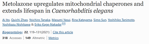 来自日本大阪市立大学的科学家搜索了现有药物的化学“文库”，他们发现一种名为美托拉宗的抗高血压药可耽搁秀丽隐杆线虫的寿命，标志取抗衰老药物开发的第一步