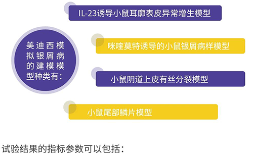 PP电子游戏仿照银屑病的建模模型种类