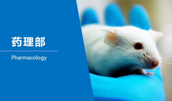 PP电子游戏临床前钻研-药理部