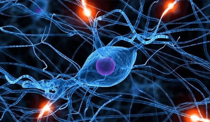 PP电子游戏助力璃路医药靶向瞬时受体电位通路的幼分子抑造剂LDS片获批临床