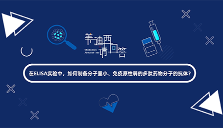 在ELISA尝试，若何造备分子量幼、免疫原性弱的多肽药物分子的抗体？