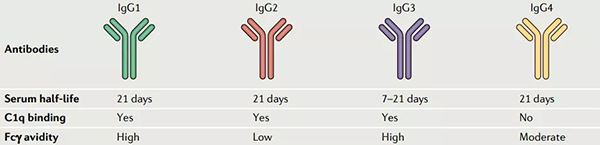 分歧IgG对比.png