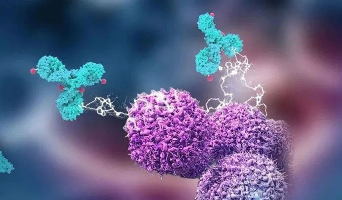 PP电子游戏助力国产靶向叶酸受体FRα ADC注射用BAT8006获批临床