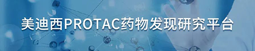 PP电子游戏PROTAC药物发现钻研平台.png