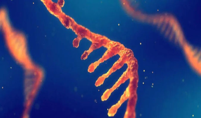 赋能核酸药物疗法，迎接新药研发第三次海潮