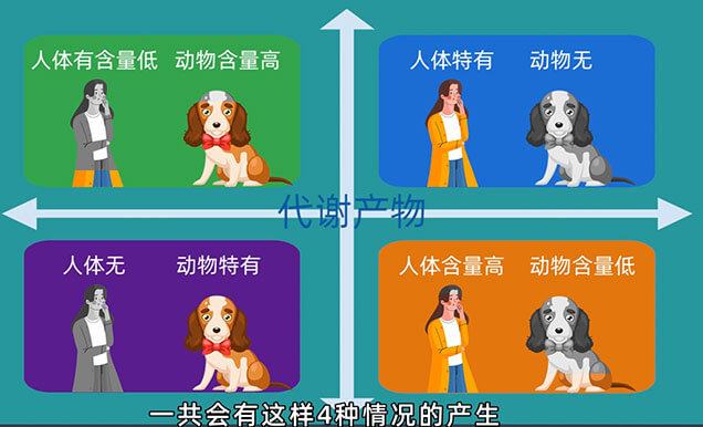 在PK-TK钻研中，什么情况下必要做代谢产品监测以及代谢产品安全性试验（MIST）.jpg