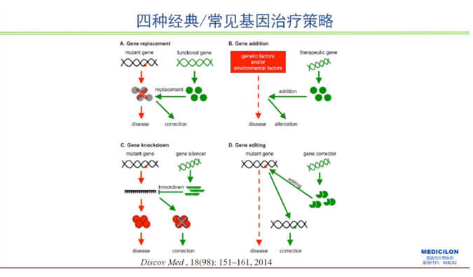 【杰出回首】曾宪成博士：对基因医治产品非临床钻研战术的思虑—载体及携带基因体内免疫过程赐与的启迪