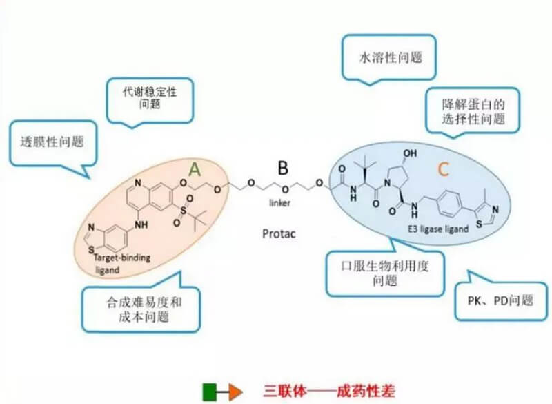 PROTAC分子量较大，溶化性较差.jpg