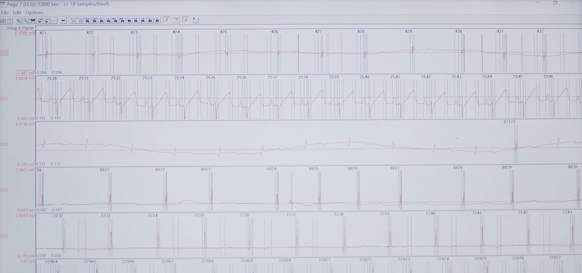 PP电子游戏 SEND 数据转换平台