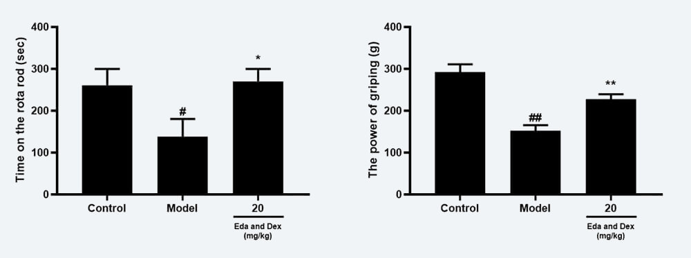 神经职能药效学调查：C 转棒滞留功夫；D 抓握力（mean±SEM）.jpg