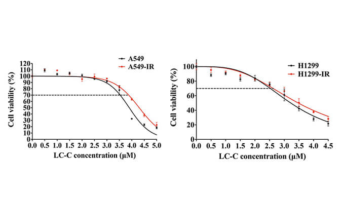 放射疗法用作肺癌的重要医治步骤，本钻研中成立抗电离辐射肺癌细胞系的放射医治通过PP电子游戏进行