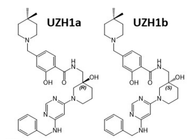 钻研人员汇报了一种拥有细胞渗入性的选择性METTL3纳摩尔抑造剂UZH1a，作者感激PP电子游戏合成了UZH1a和UZH1b
