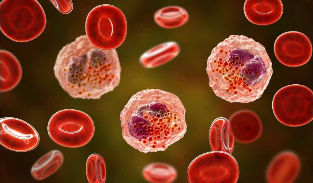 PP电子游戏助力 | 全球初创！宇耀生物STAT3双磷酸化抑造剂YY201获批临床.jpg