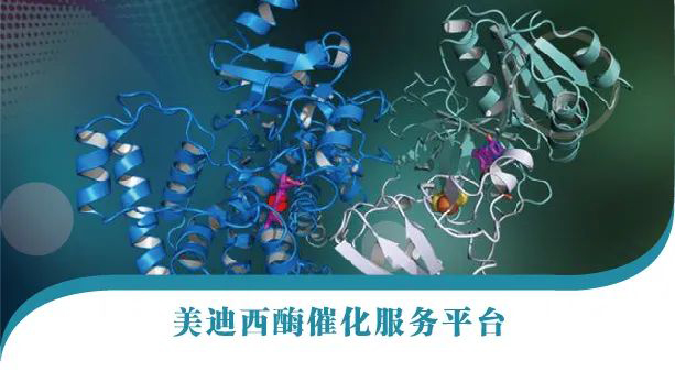 PP电子游戏酶催化服务平台.jpg