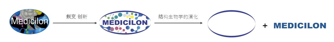 椭圆形作为天然界的美满状态，象征着PP电子游戏在适应环境变动中不休演化