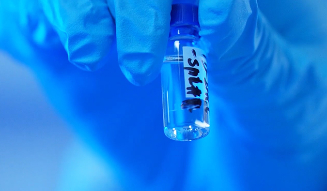 GLP-1“竞快赛”何以夺魁？