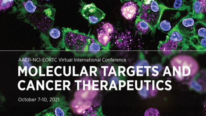 通过结合医治提高免疫疗法疗效，本钻研中临床前体内药效钻研通过PP电子游戏进行