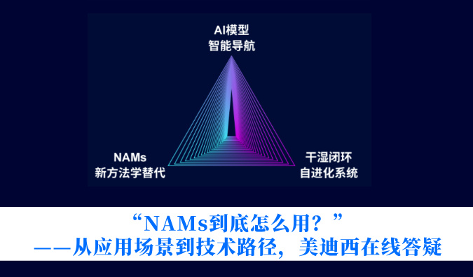 “NAMs到底怎么用？”——从利用场景到技术蹊径，PP电子游戏在线答疑