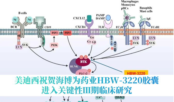 破解耐药性难题，PP电子游戏祝贺海博为药业HBW-3220胶囊进入关键性Ⅲ期临床钻研